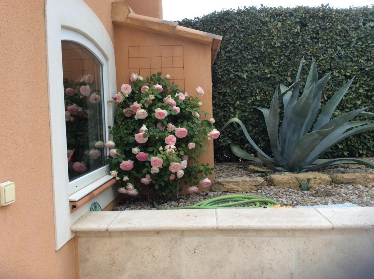 Les Lavandes Bed & Breakfast Alleins Екстериор снимка