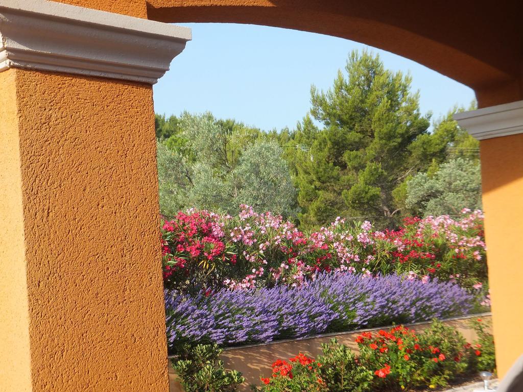 Les Lavandes Bed & Breakfast Alleins Екстериор снимка